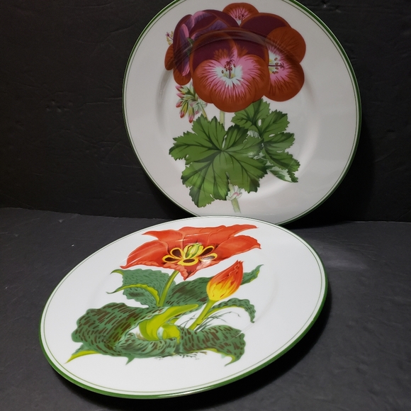 Vintage 1983 Set Of 2 THE HALDON GROUP *Millefleur* Dinner Plates REPLACEMENT - Picture 3 of 7